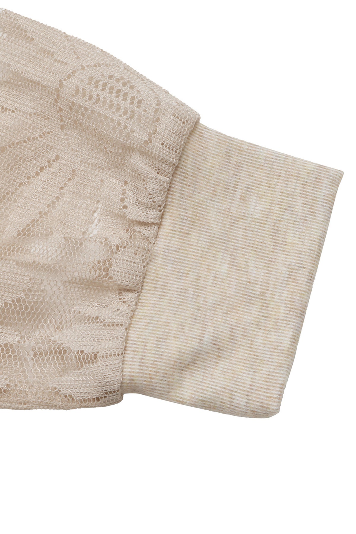 Apricot Scalloped V Neck Lace Sleeve Patchwork Elegant Bodysuit