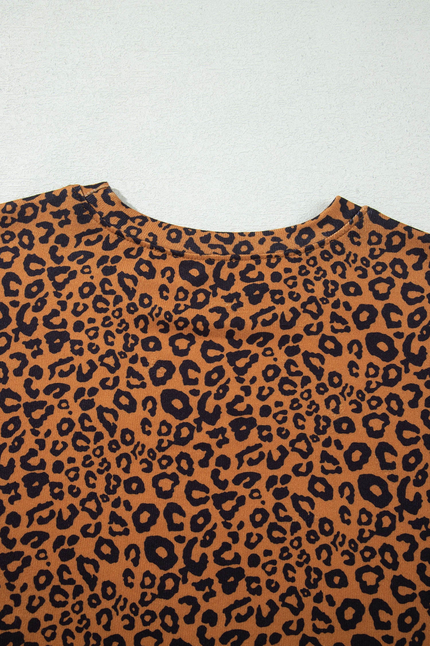 Brown Leopard Print Long Sleeve Top Relaxed Pant Set
