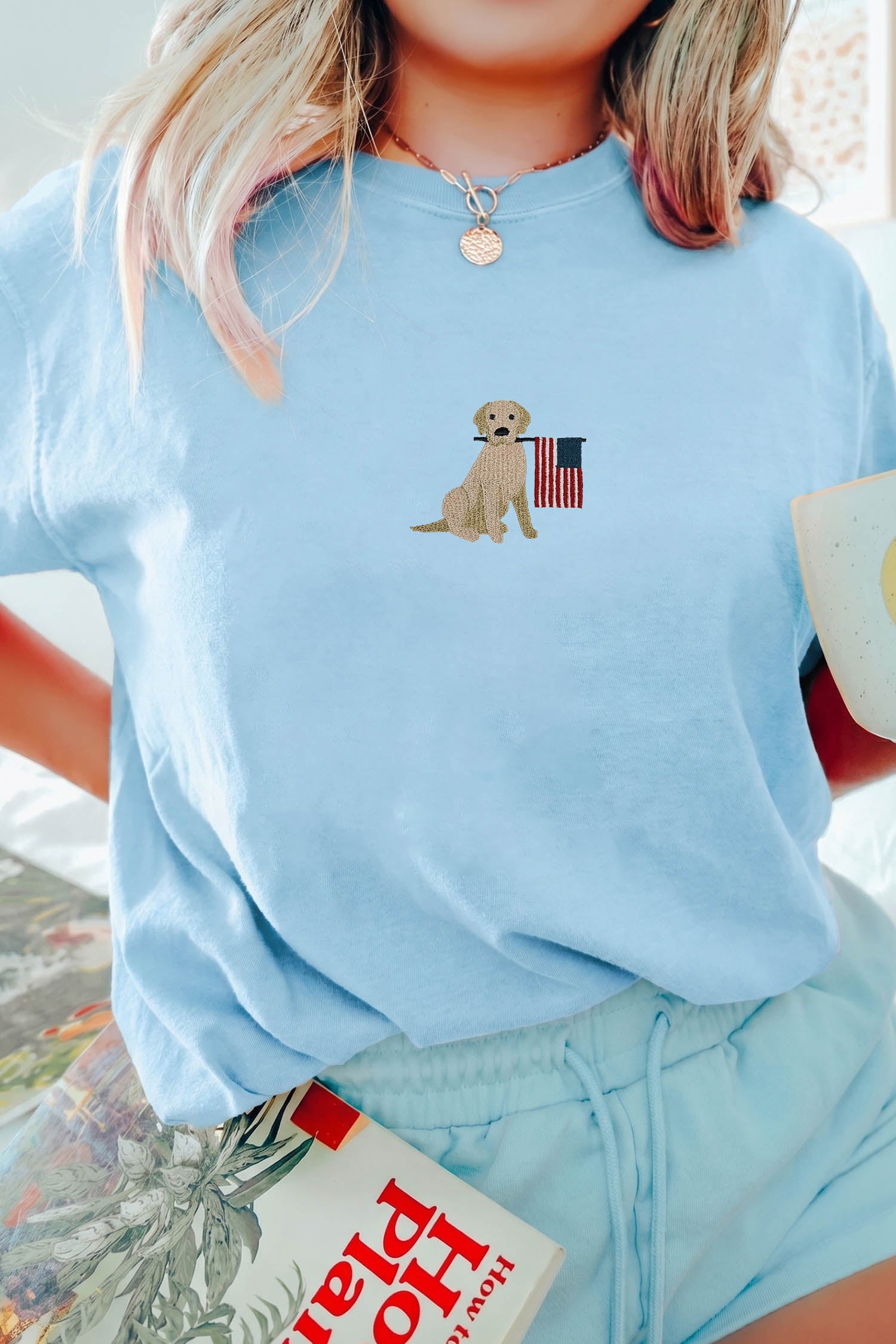 Light Blue Embroidered Dog Holding American Flag Graphic T Shirt