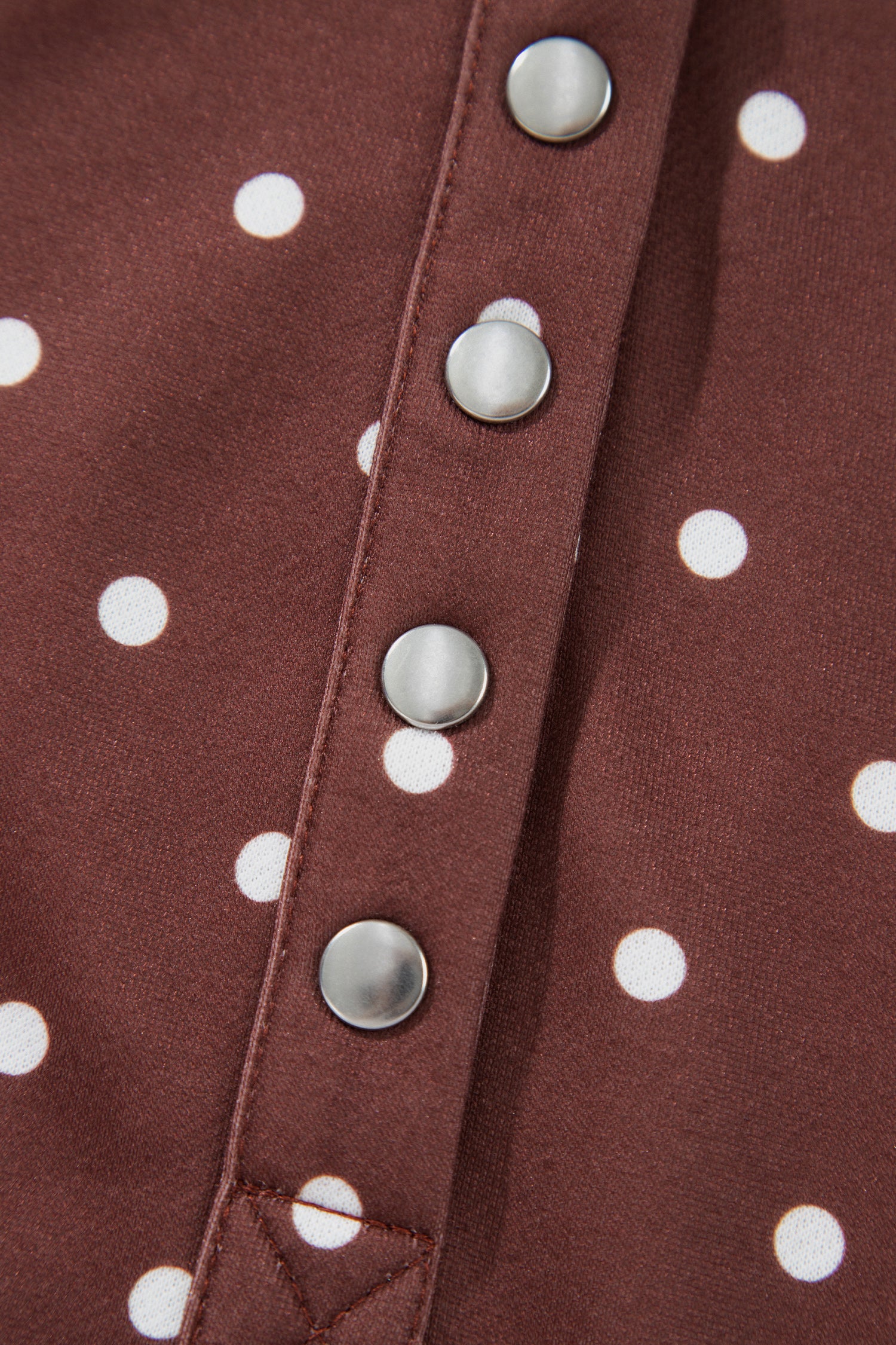 Brown Polka Dot Print Metal Button Collar Casual Pullover Sweatshirt