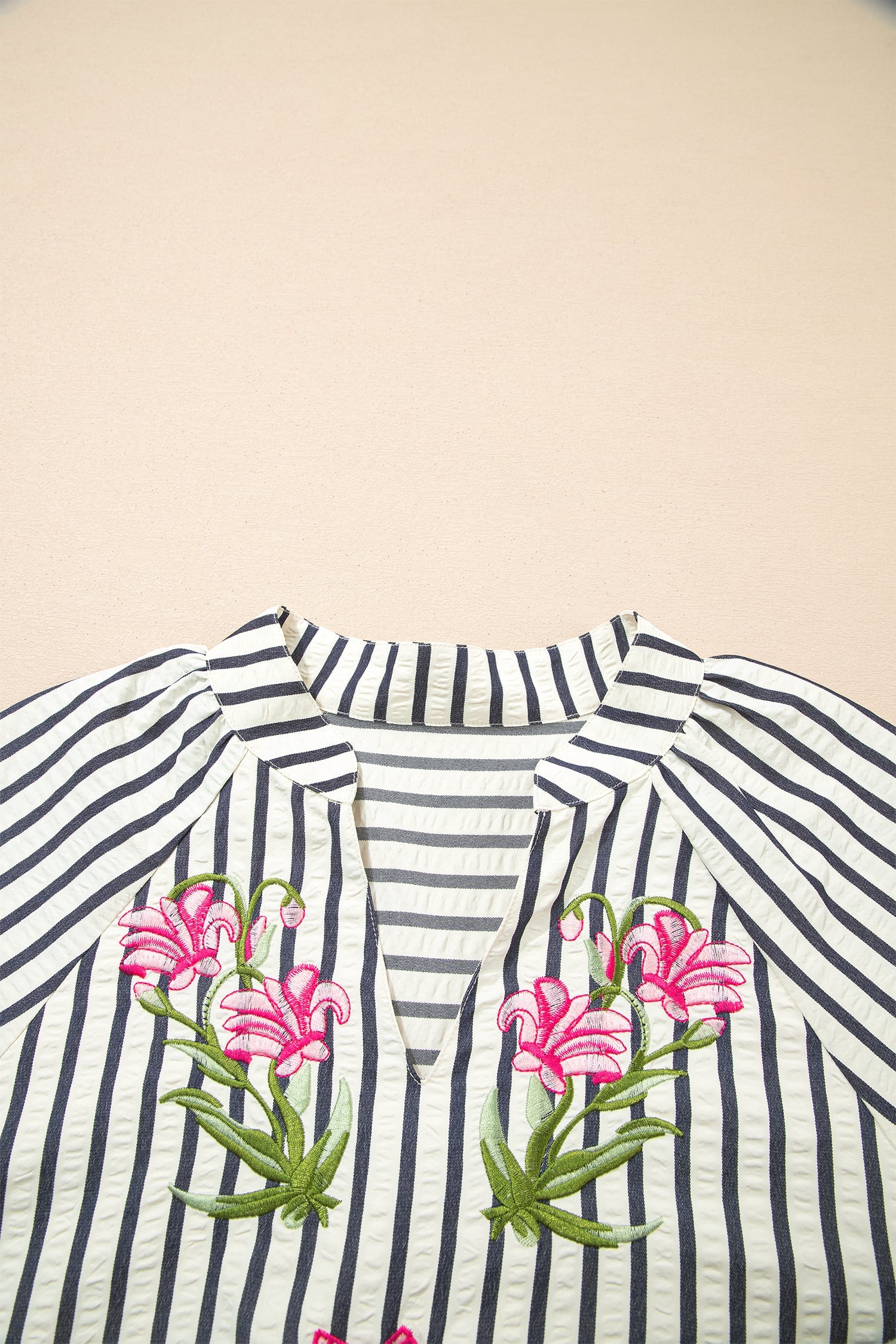 Blue Stripe Floral Embroidered Detail V Neck Short Sleeve Blouse