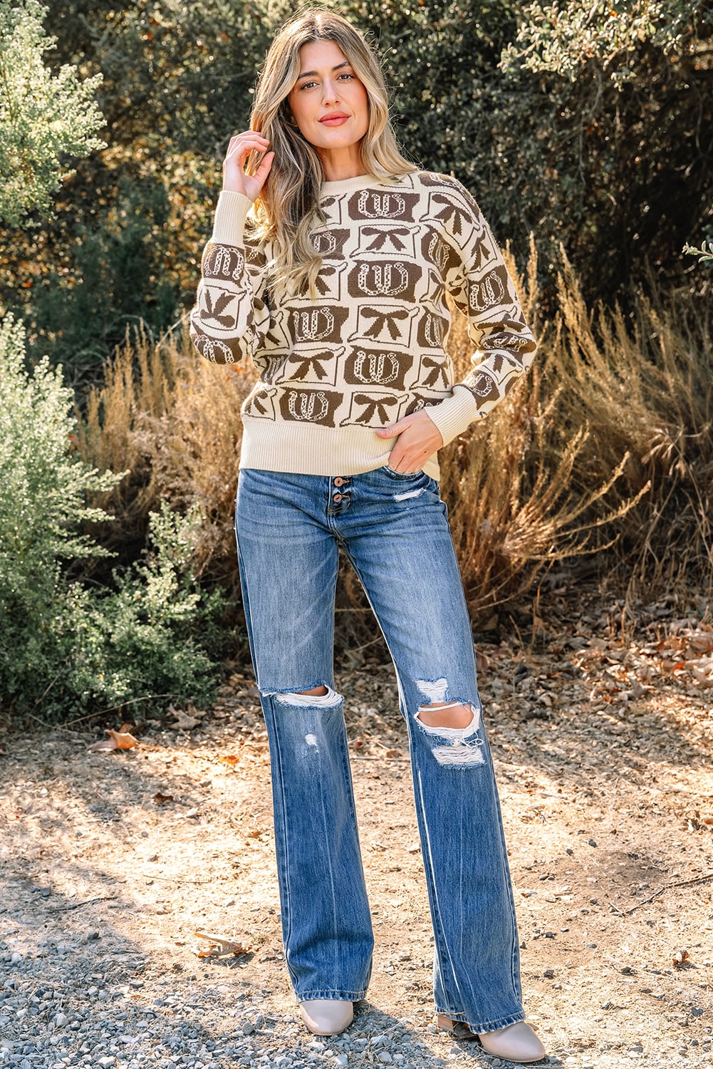Brown Bows & Horseshoes Pattern Western Fashion Print Sweater