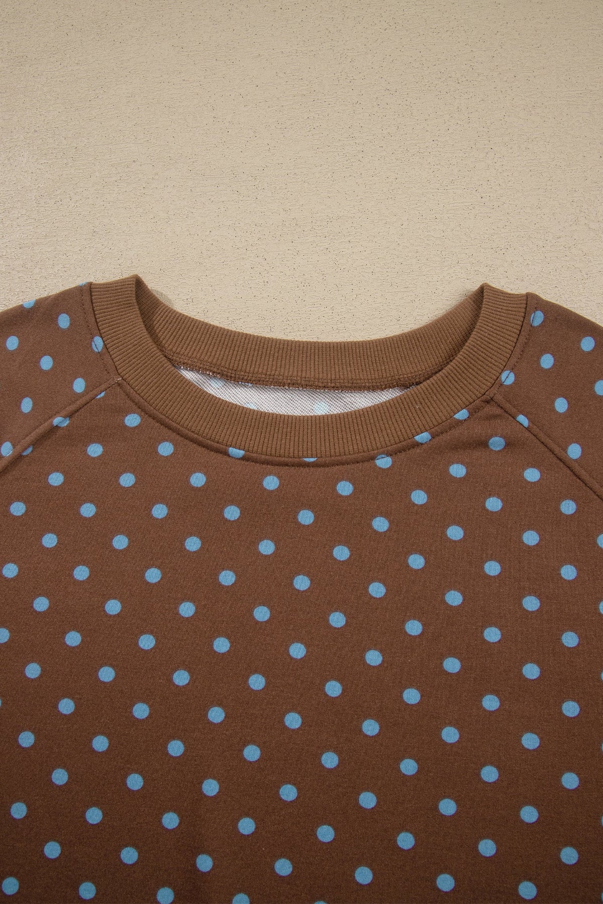 Brown Polka Dot Round Neck Long Sleeve Plus Size Set