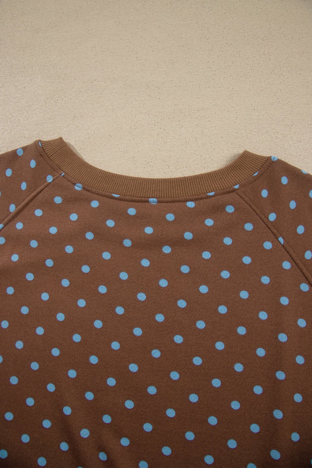 Brown Polka Dot Round Neck Long Sleeve Plus Size Set