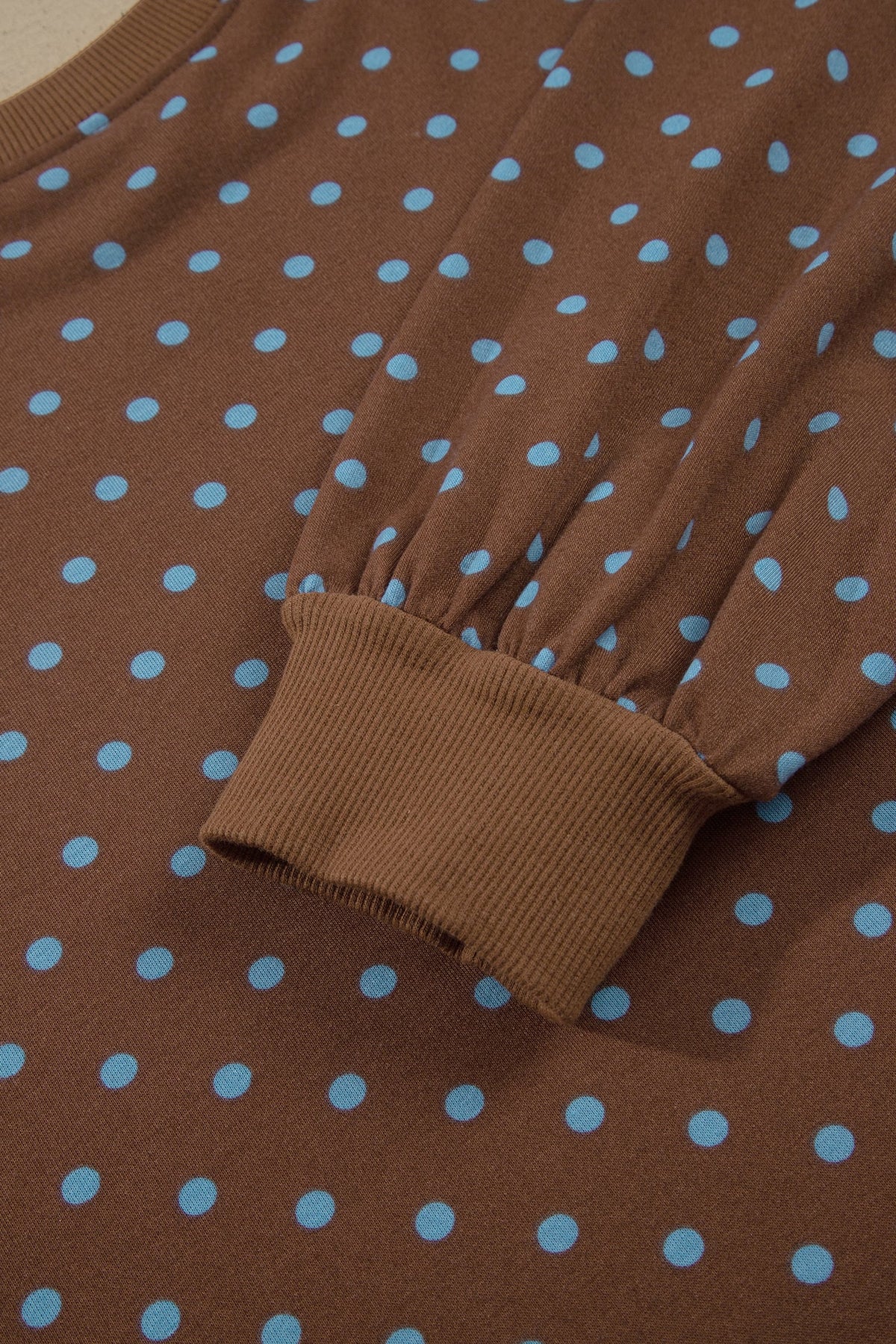 Brown Polka Dot Round Neck Long Sleeve Plus Size Set