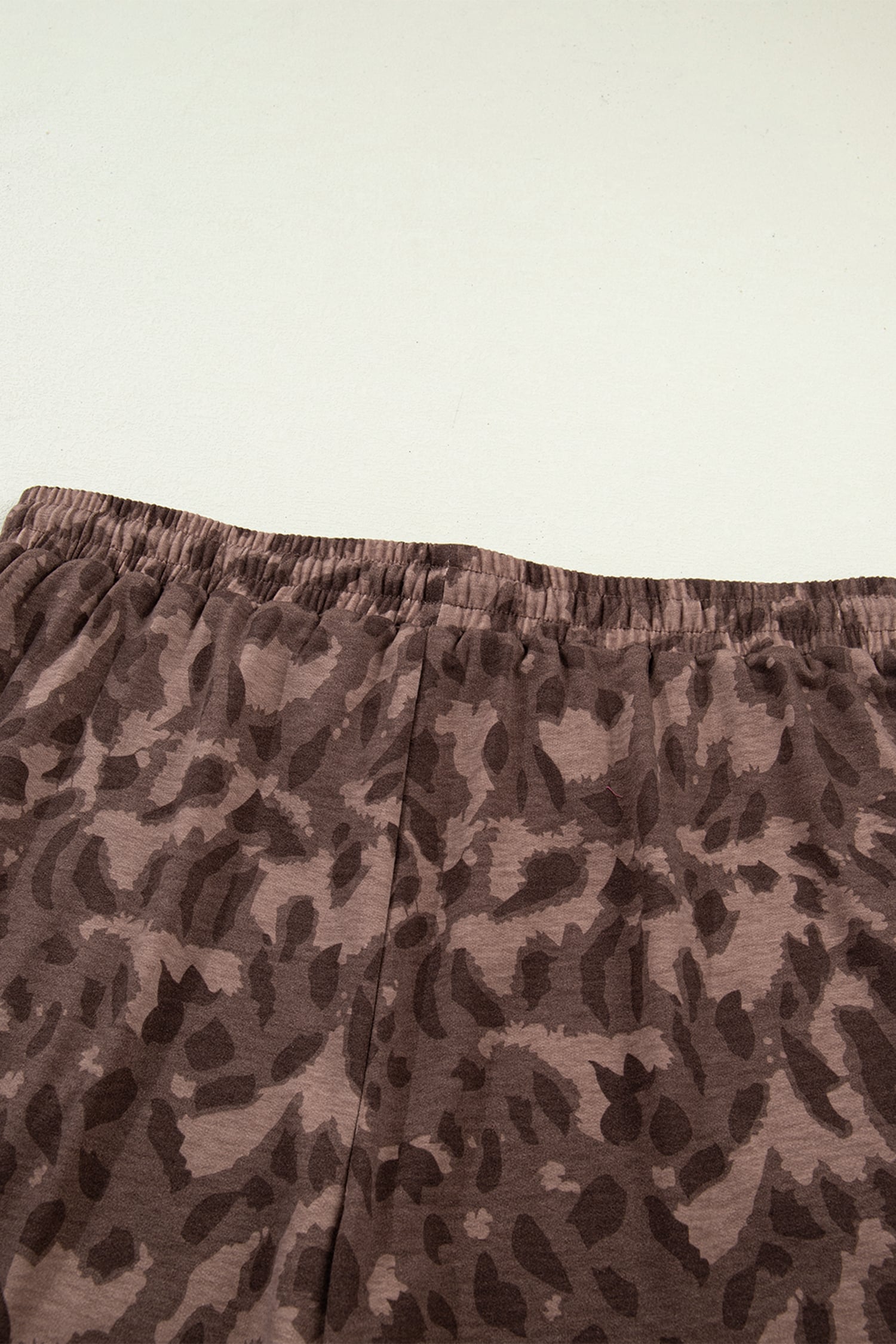 Brown Retro Leopard Print Contrast Varsity Stripe Trim Plus Size 2pcs Short Set