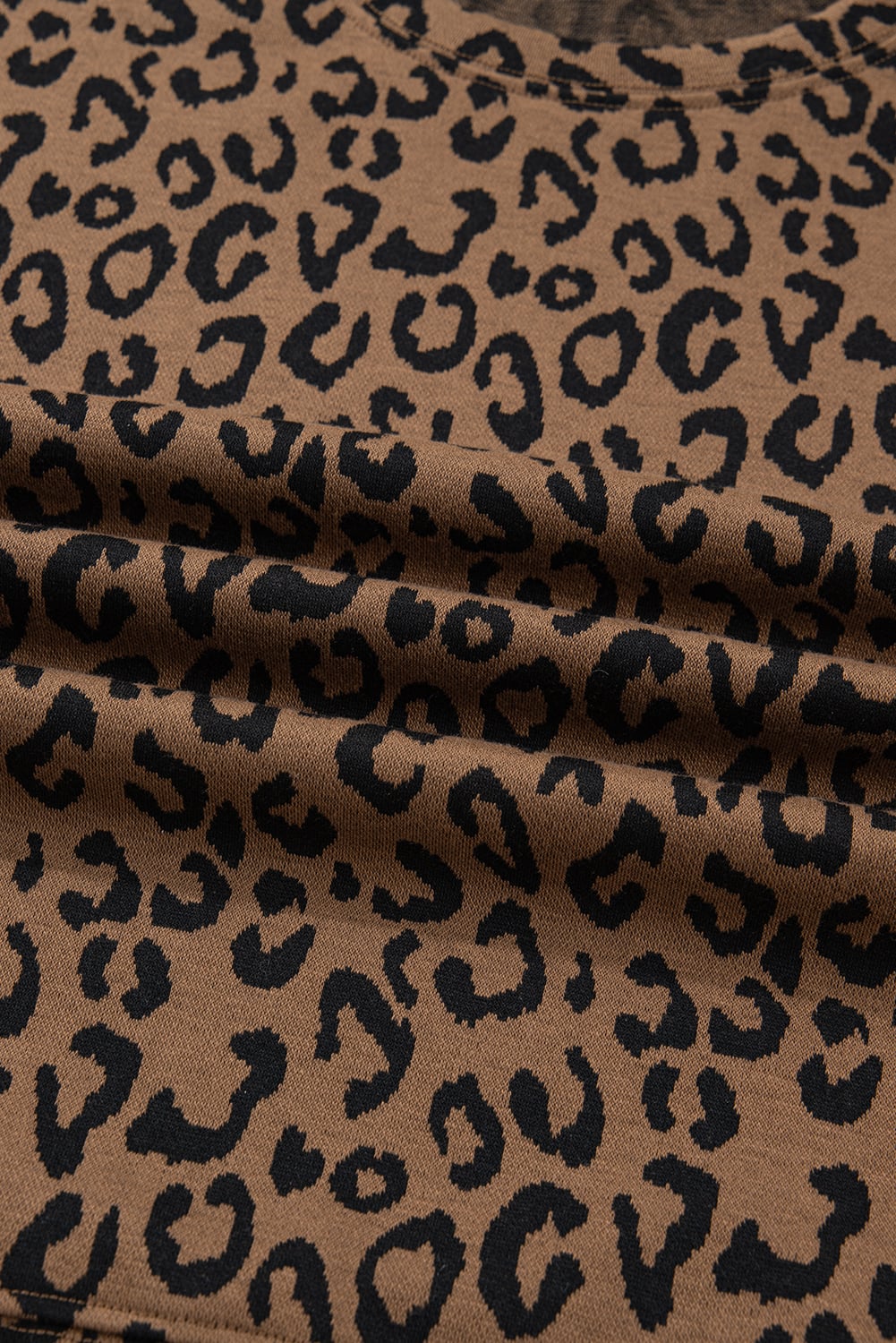 Brown Varsity Striped Trim Leopard Long Sleeve Top Drawstring Pant Set