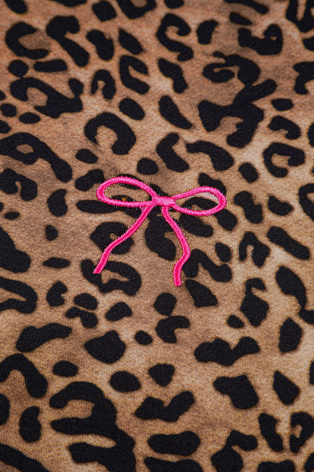 Coffee Leopard Print Contrast Trim Long Sleeve Top and Pants Set
