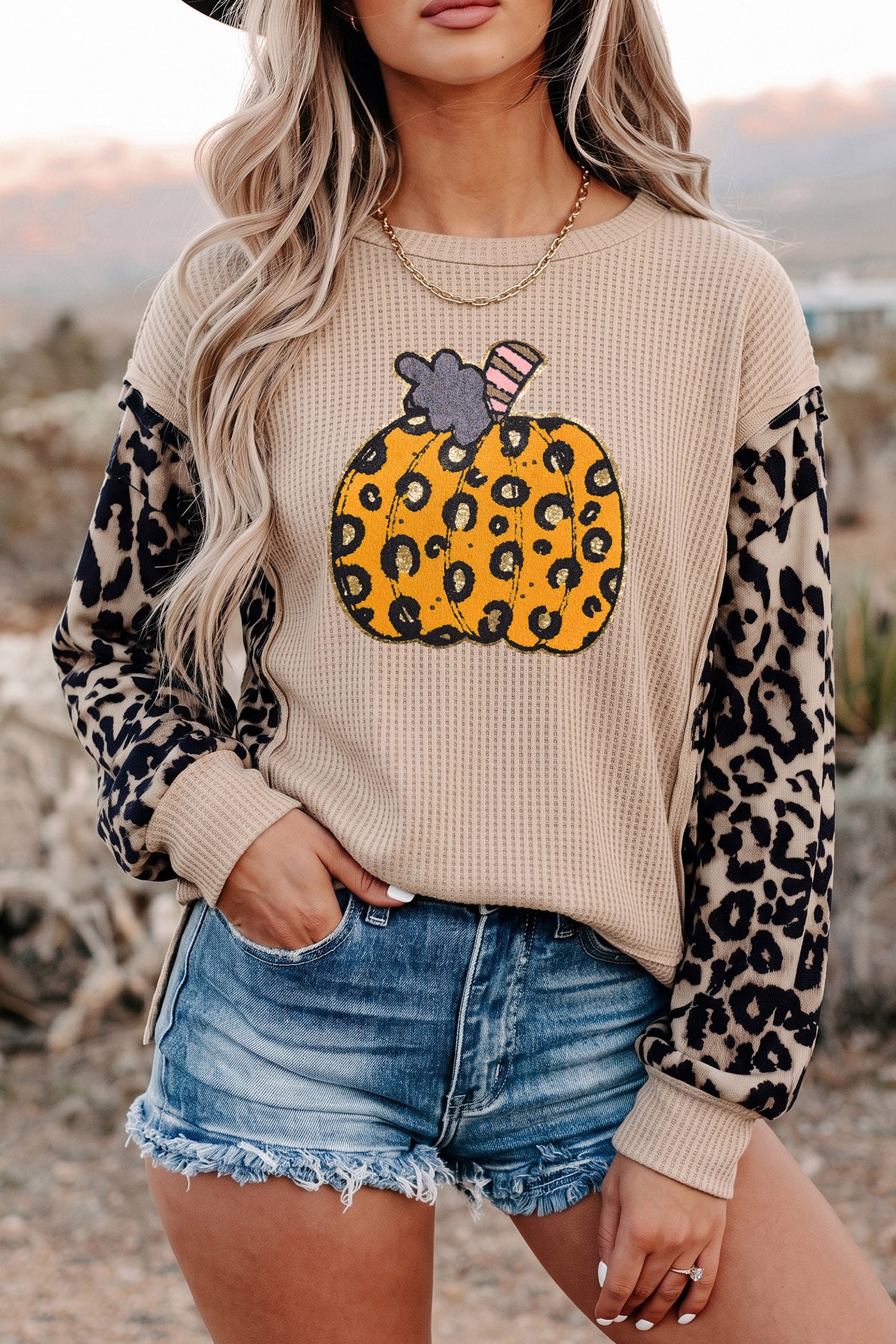 Gray Morn Leopard Sleeve Pumpkin Graphic Western Pullover Top