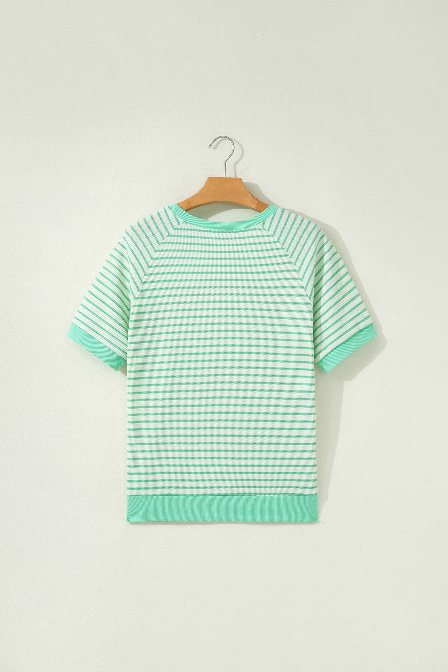 Green Stripe Colorblock Trim Round Neck Short Sleeve Tee