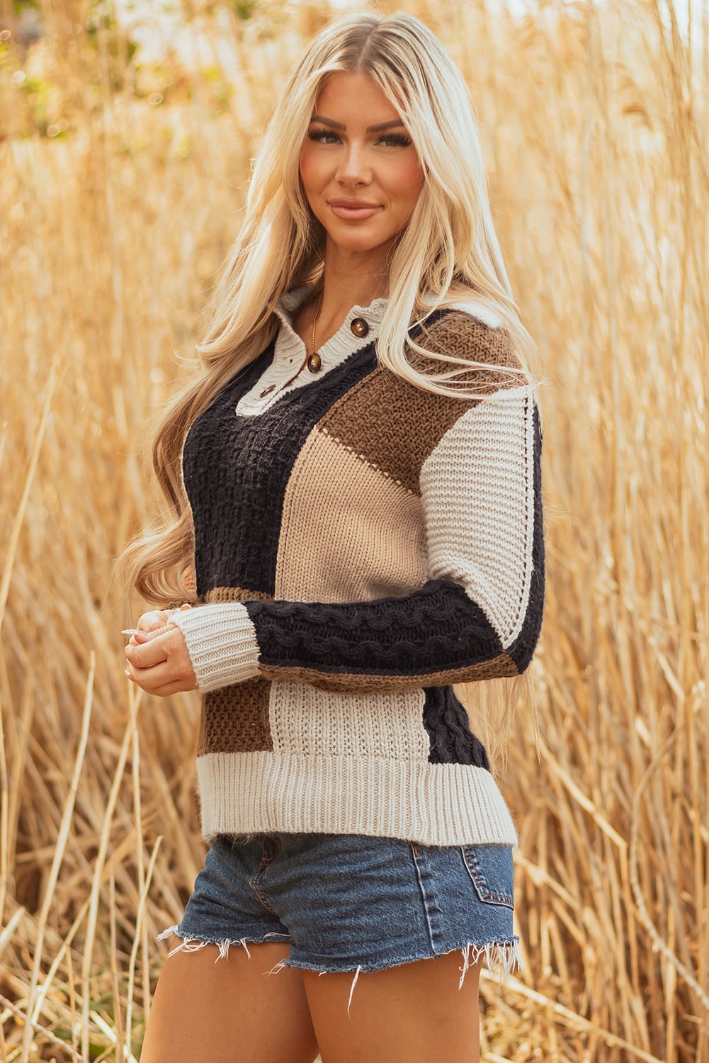 Multicolour Color Block Cable Knit Sleeve Buttons Collared Sweater