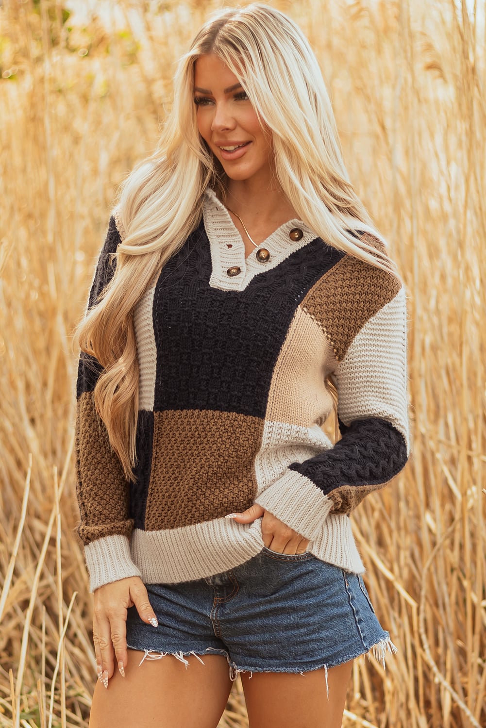 Multicolour Color Block Cable Knit Sleeve Buttons Collared Sweater