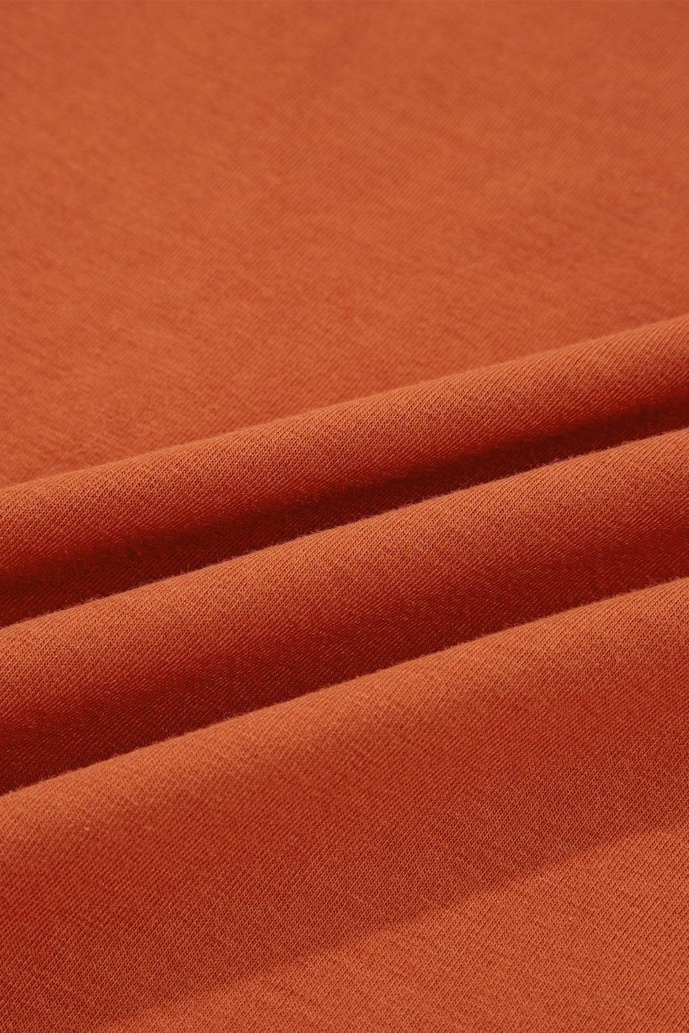 Red Clay  Asymmetric Seam Detail Solid Color Long Sleeve Top