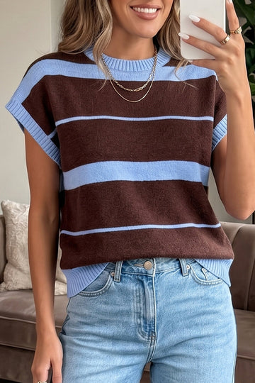 Sky Blue Stripe Striped Short Sleeve Round Neck Casual Knit Top